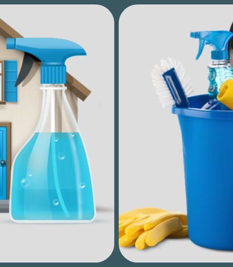 شركة تنظيف في الشارقة