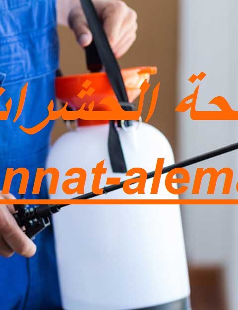 شركة مكافحة الحشرات الشارقة