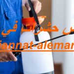 شركة رش حشرات في الشارقة