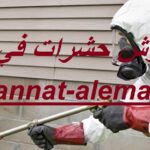شركة رش حشرات في العين