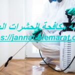 شركة مكافحة الحشرات العين