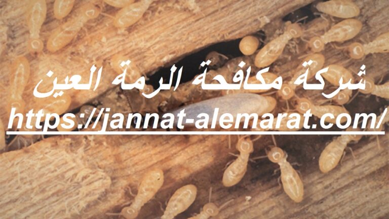 شركة مكافحة الرمة العين