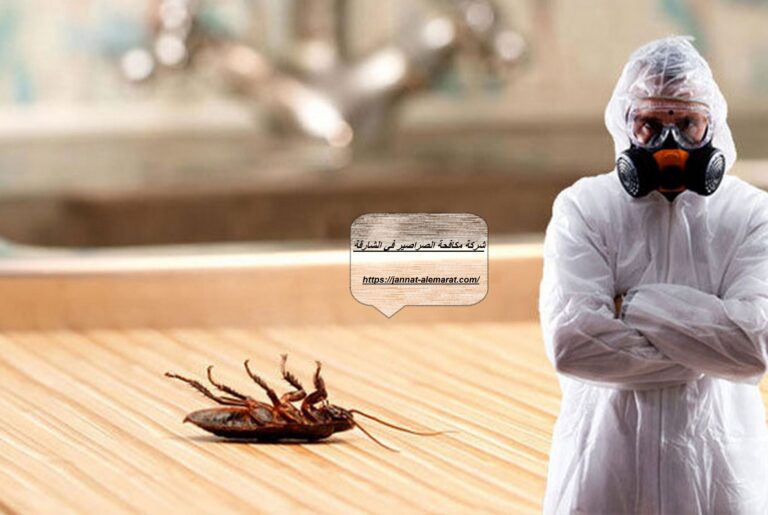 شركة مكافحة الصراصير في الشارقة