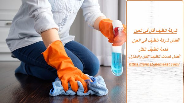 شركة تنظيف فلل في العين