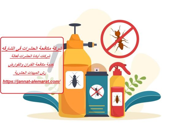 شركة مكافحة الحشرات في الشارقه