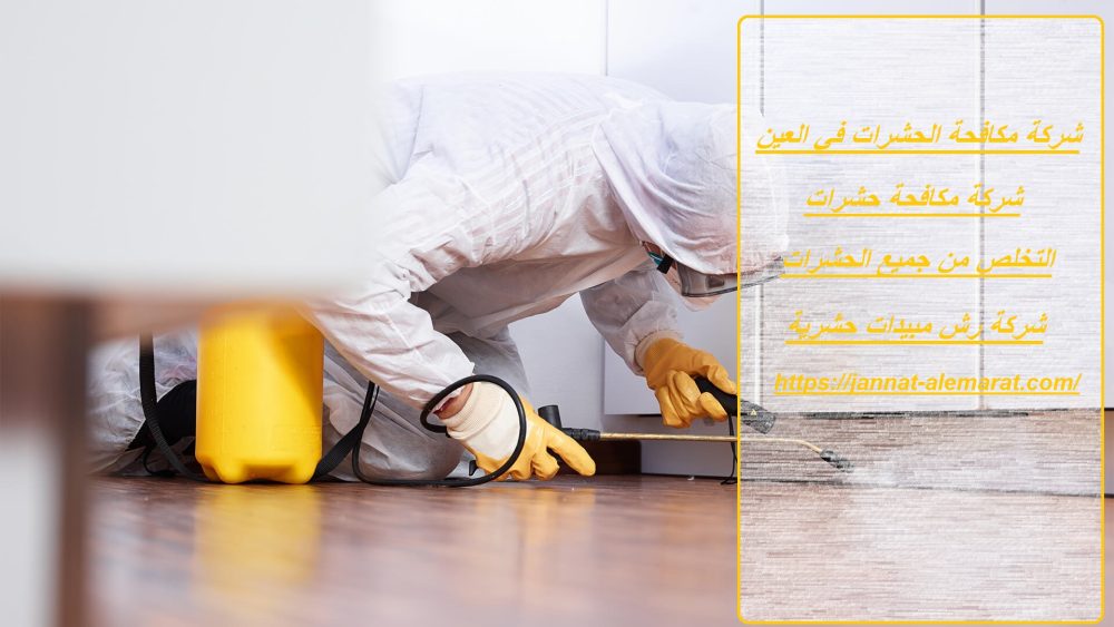 شركة مكافحة الحشرات في العين