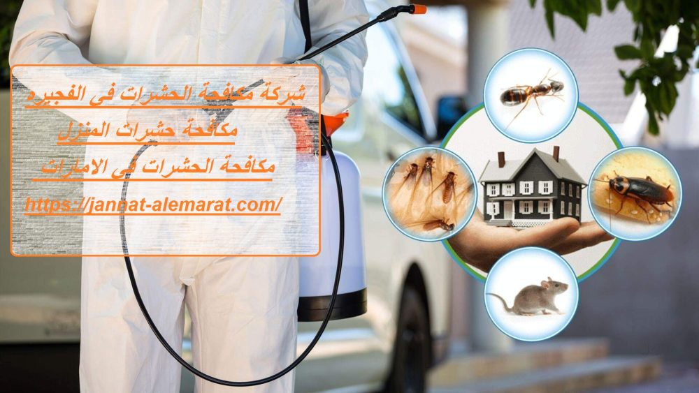 شركة مكافحة الحشرات في الفجيره