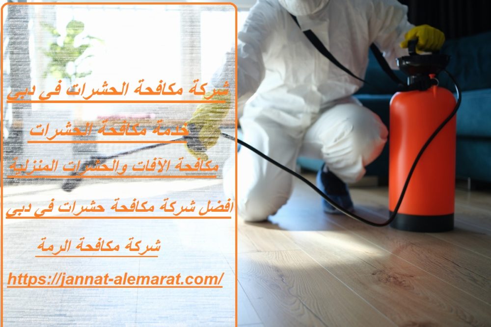 شركة مكافحة الحشرات في دبي