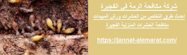 شركة مكافحة الرمة في الفجيرة