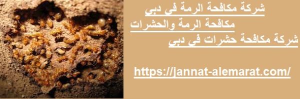 شركة مكافحة الرمة في دبي