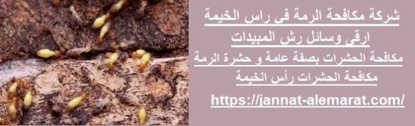 شركة مكافحة الرمة في راس الخيمة
