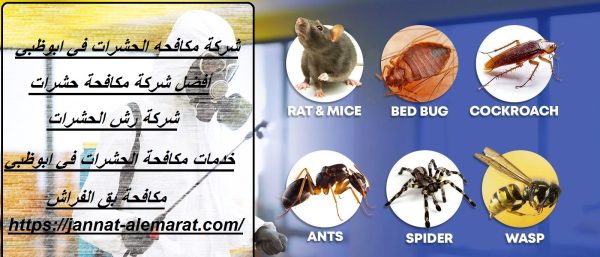 شركة مكافحه الحشرات في ابوظبي